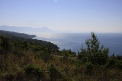 Resize of IMG_6775.JPG