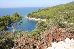 Resize of IMG_6779.JPG