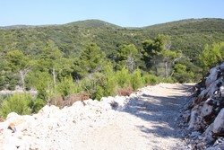 Resize of IMG_6781.JPG