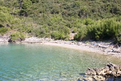 Resize of IMG_6793.JPG