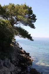 Resize of IMG_6794.JPG