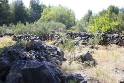 Resize of IMG_6819 Но то, что сделаны руками человека- это однозначно..JPG