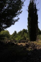 Resize of IMG_6821.JPG