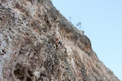 Resize of IMG_6880.JPG