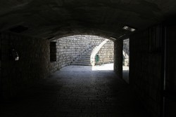 Resize of IMG_7455.JPG