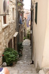 Resize of IMG_7474 Главное не заблудиться.JPG