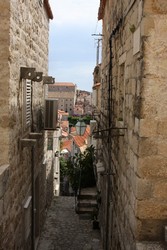 Resize of IMG_7482.JPG