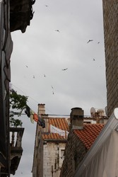 Resize of IMG_7545.JPG