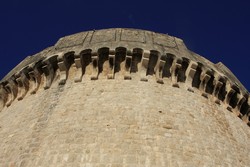 Resize of IMG_7732 2013.JPG