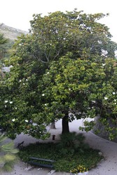 Resize of IMG_7750.JPG