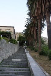 Resize of IMG_7782.JPG