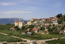 Resize of IMG_7090.JPG