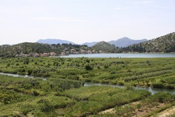 Resize of IMG_7102 Вся поверхность, на которой есть земля, используется для посадок.JPG
