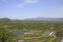 Resize of IMG_7124.JPG