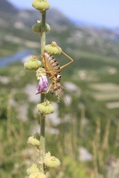 Resize of IMG_7150.JPG