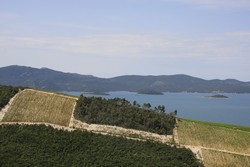 Resize of IMG_7155.JPG