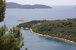Resize of IMG_7219.JPG