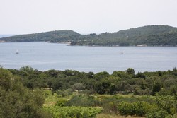 Resize of IMG_7281.JPG