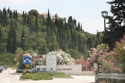 Resize of IMG_7284.JPG