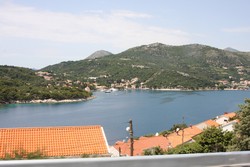 Resize of IMG_7307.JPG
