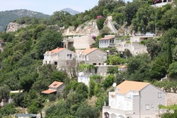 Resize of IMG_7311.JPG