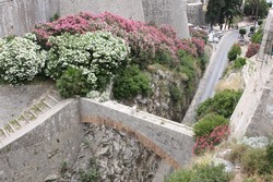 Resize of IMG_7365.JPG