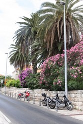 Resize of IMG_7379.JPG