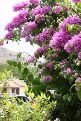 Resize of IMG_7394.JPG