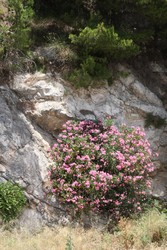 Resize of IMG_7426.JPG