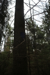 Resize of IMG_0781.JPG