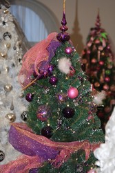 Resize of IMG_2147.jpg