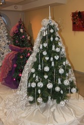 Resize of IMG_2150.jpg