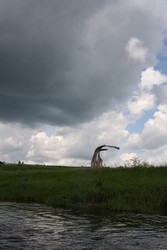 Resize of IMG_5803.JPG
