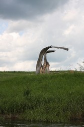 Resize of IMG_5805.JPG