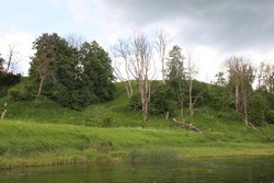 Resize of IMG_5811.JPG