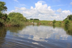 Resize of IMG_5842.JPG
