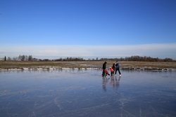 Resize of IMG_1881.JPG