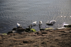 Resize of IMG_6039.JPG
