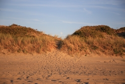 Resize of IMG_6074.JPG