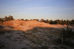 Resize of IMG_6084.JPG