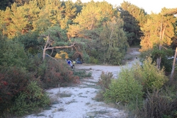 Resize of IMG_6087.JPG