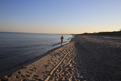 Resize of IMG_6107.JPG