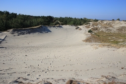 Resize of IMG_6119.JPG