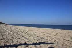 Resize of IMG_6130.JPG