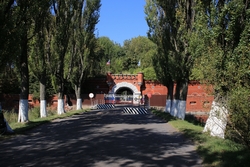 Resize of IMG_6163.JPG