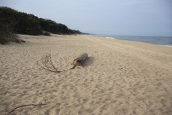 Resize of IMG_6253.JPG