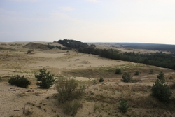 Resize of IMG_6315.JPG