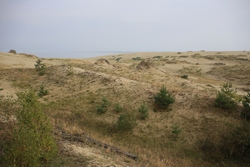 Resize of IMG_6316.JPG