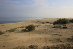 Resize of IMG_6330.JPG