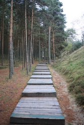 Resize of IMG_6332.JPG